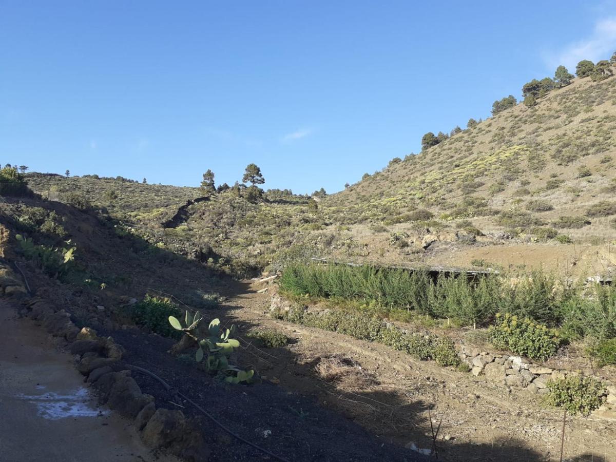Casa Rural Los Santillos El Pinar de El Hierro Kültér fotó